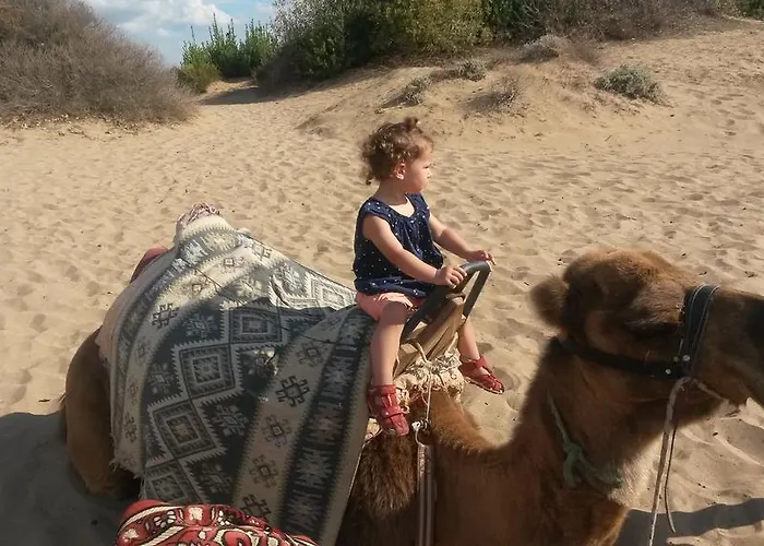 Ξενοδοχείο House